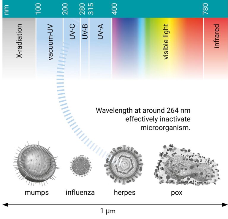 How does UVlight work? Natdis